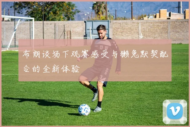 布朗谈场下观赛感受与獭兔默契配合的全新体验