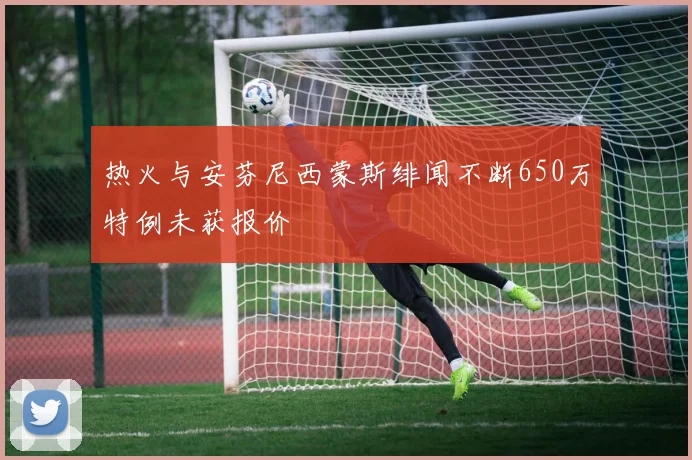 热火与安芬尼西蒙斯绯闻不断650万特例未获报价